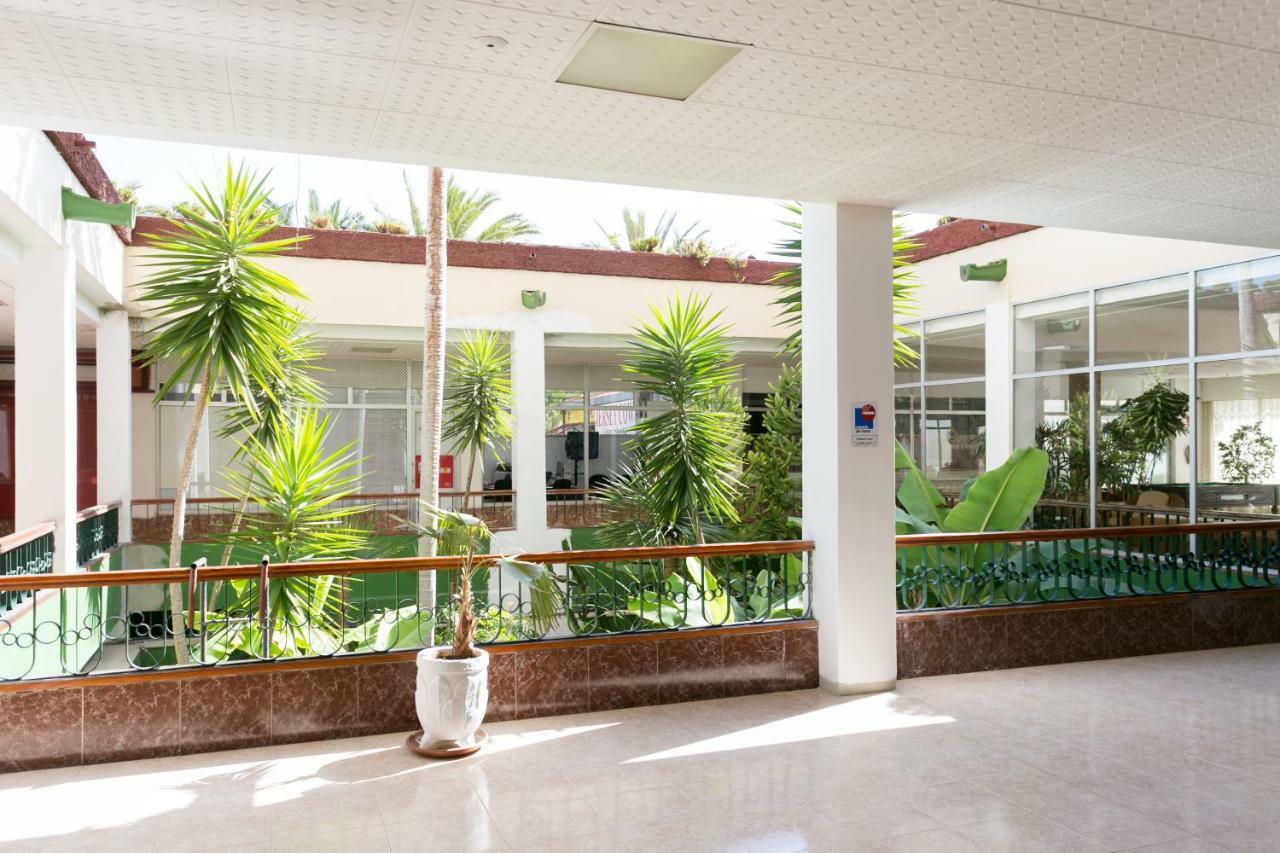 408 Enchanting El Dorado Accommodation, Sea View! Playa de las Americas  Exterior photo